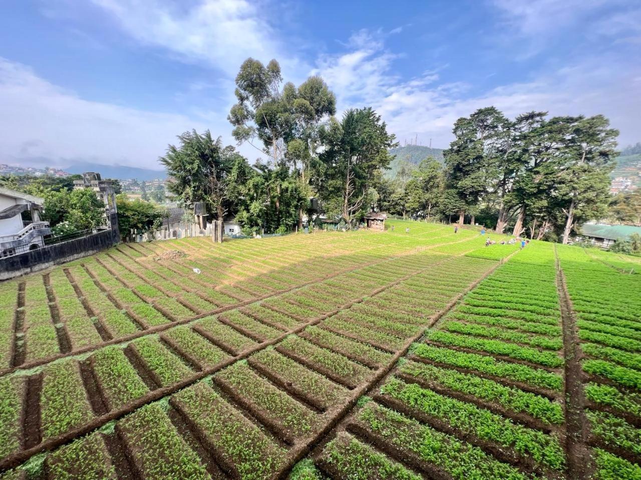 Lake View Residencies Nuwara Eliya Buitenkant foto